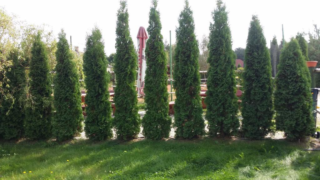 Wyspa Kampinos Brochów Exterior foto